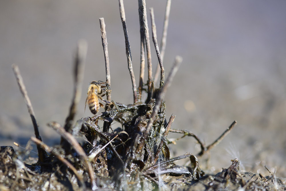 En plan er altid godt!